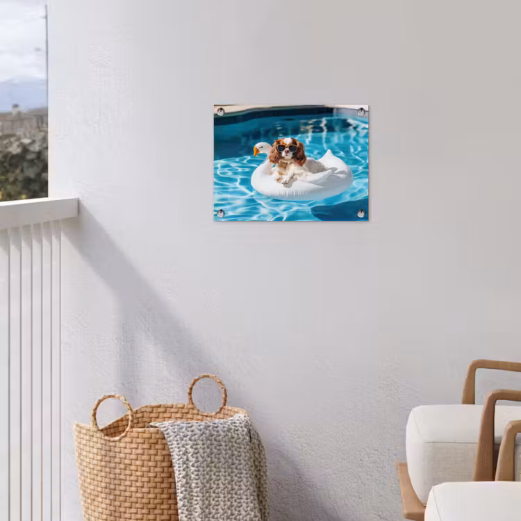Spaniel - Zonnebril - Zwemband - Zwemband tuinposter los doek klein -sfeer8