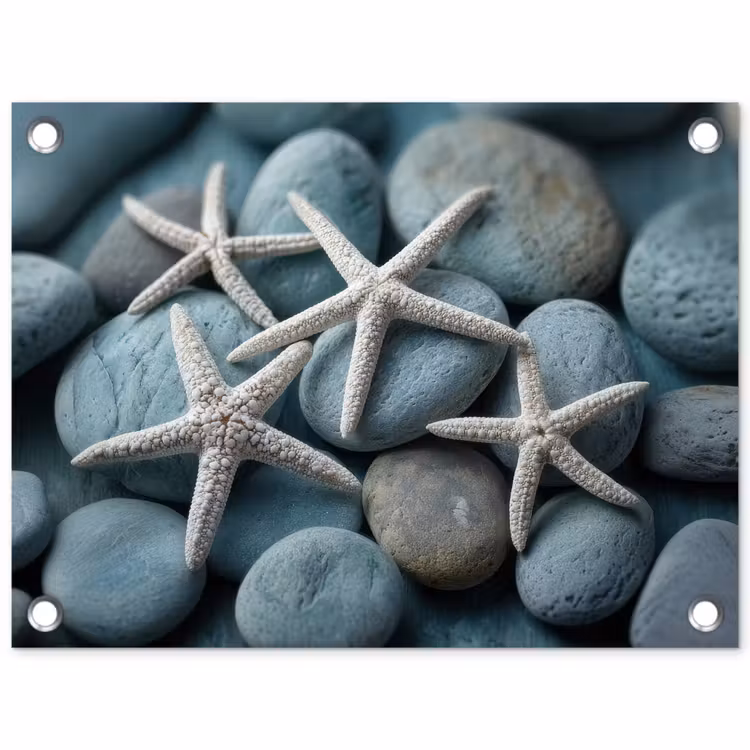 Zeesterren - Stenen - Wit tuinposter los doek klein -3d