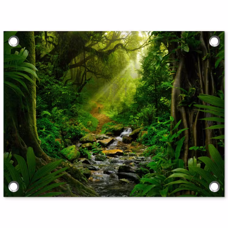 Zonnige Stralen in het Regenwoud tuinposter los doek klein -3d