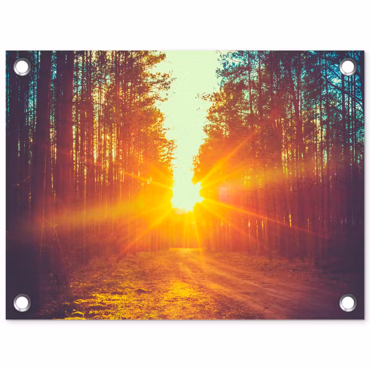 Zonsondergang - Bomen - Bos - Natuur tuinposter los doek klein -3d