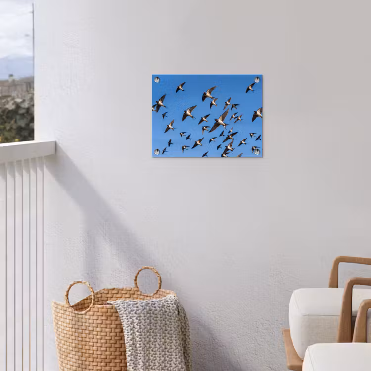 Zwaluwen - Vliegen - Blauw tuinposter los doek klein -sfeer8