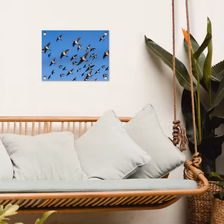Zwaluwen - Vliegen - Blauw tuinposter los doek klein -sfeer7