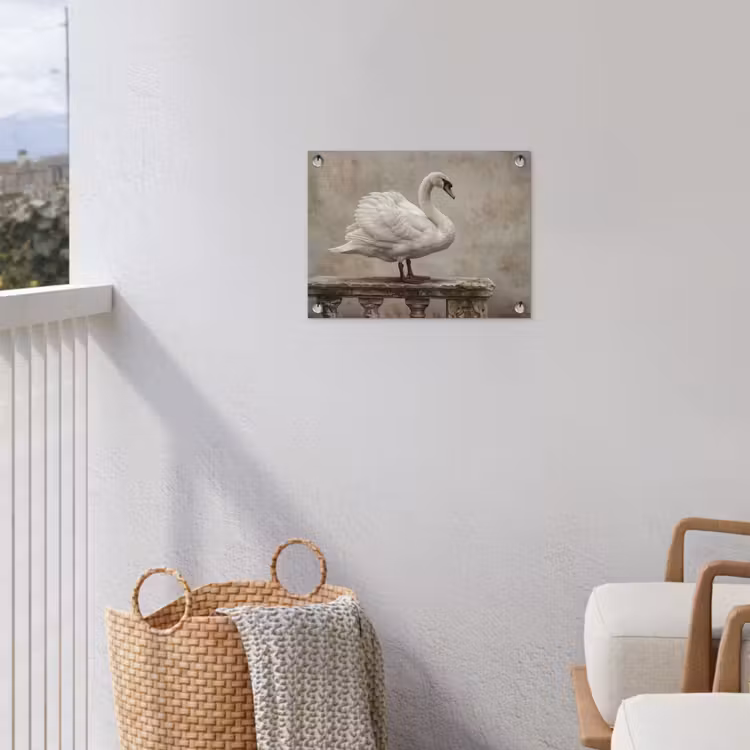 Zwaan - Elegant - Dieren - Wit tuinposter los doek klein -sfeer8
