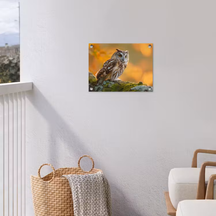 Bosuil op Mosbegroeide Tak tuinposter los doek klein -sfeer8