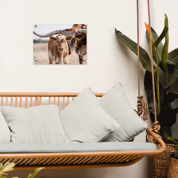 Texas Longhorn - Kalf - Weide - Dieren tuinposter los doek klein -sfeer7