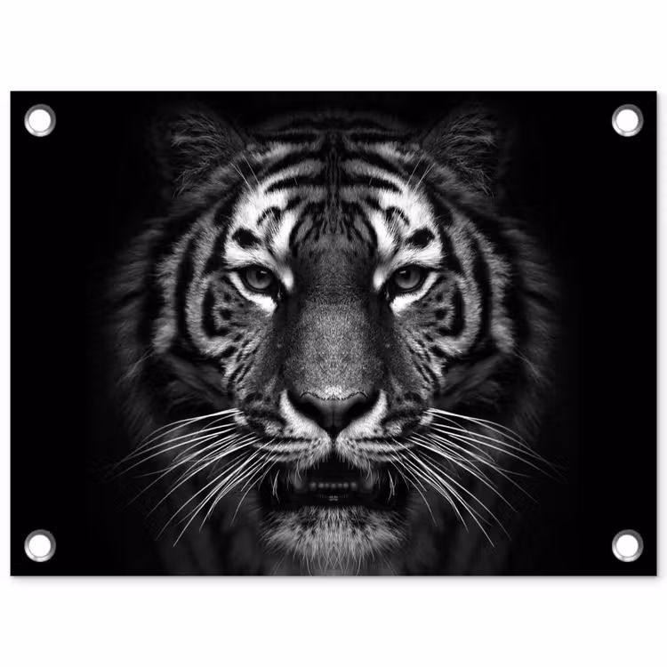 Tijger - Dieren - Zwart - Wit - Portret - Wild tuinposter los doek klein -3d