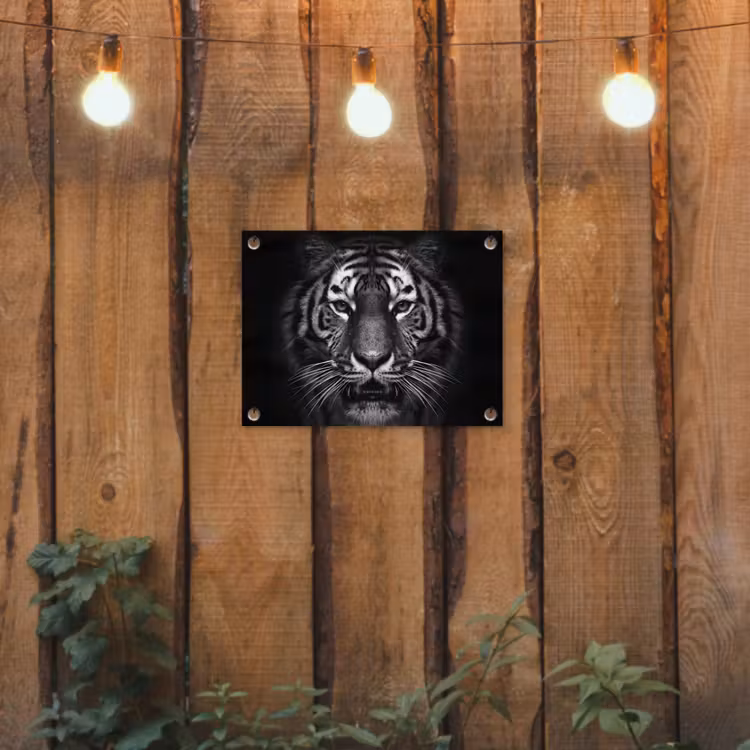 Tijger in het zwart-wit tuinposter los doek klein -sfeer1