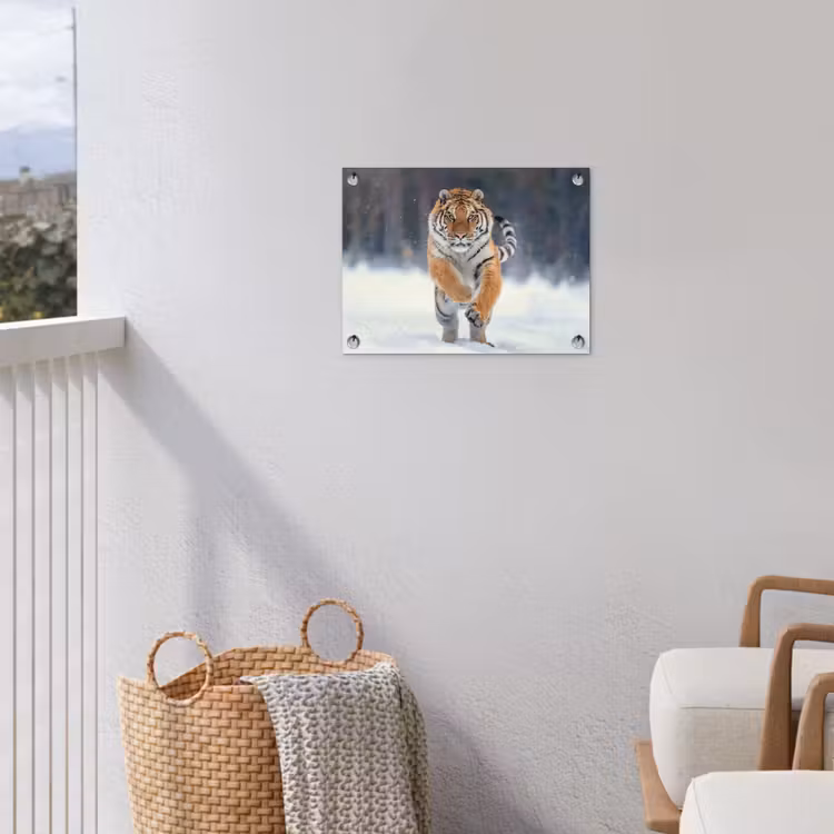 Tijger rennend door de sneeuw tuinposter los doek klein -sfeer8