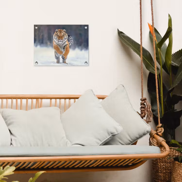 Tijger rennend door de sneeuw tuinposter los doek klein -sfeer7