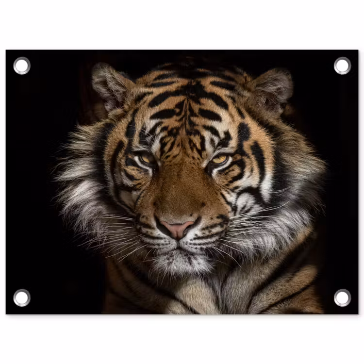 Tijger - Wilde dieren - Portret tuinposter los doek klein -3d