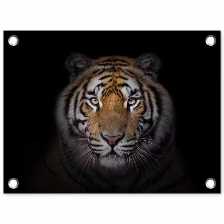 Tijger - Wilde dieren - Portret - Zwart - Dieren tuinposter los doek klein -3d