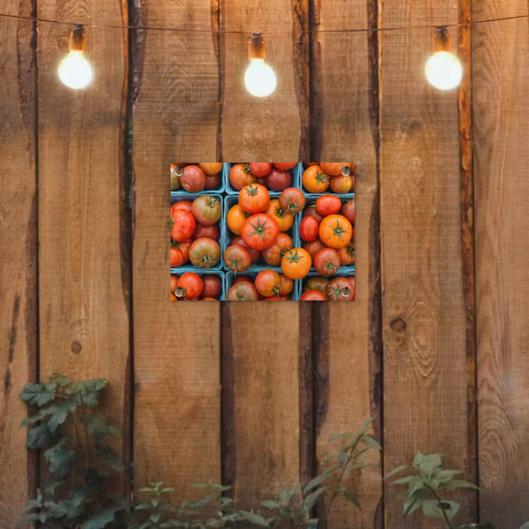 Garden Poster - Tomatoes - Food - Colorful - Tomaten - Eten - Kleurrijk tuinposter los doek klein