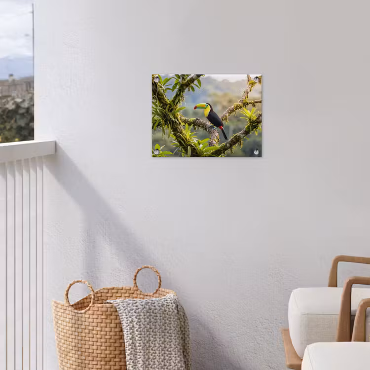 Toekan - Jungle - Natuur - Kleurrijk tuinposter los doek klein -sfeer8