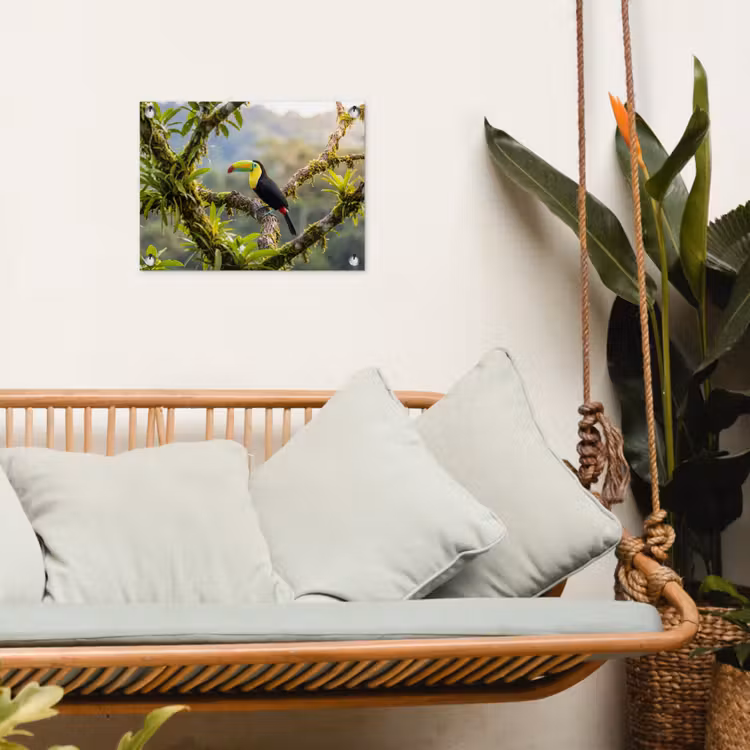 Toekan - Jungle - Natuur - Kleurrijk tuinposter los doek klein -sfeer7