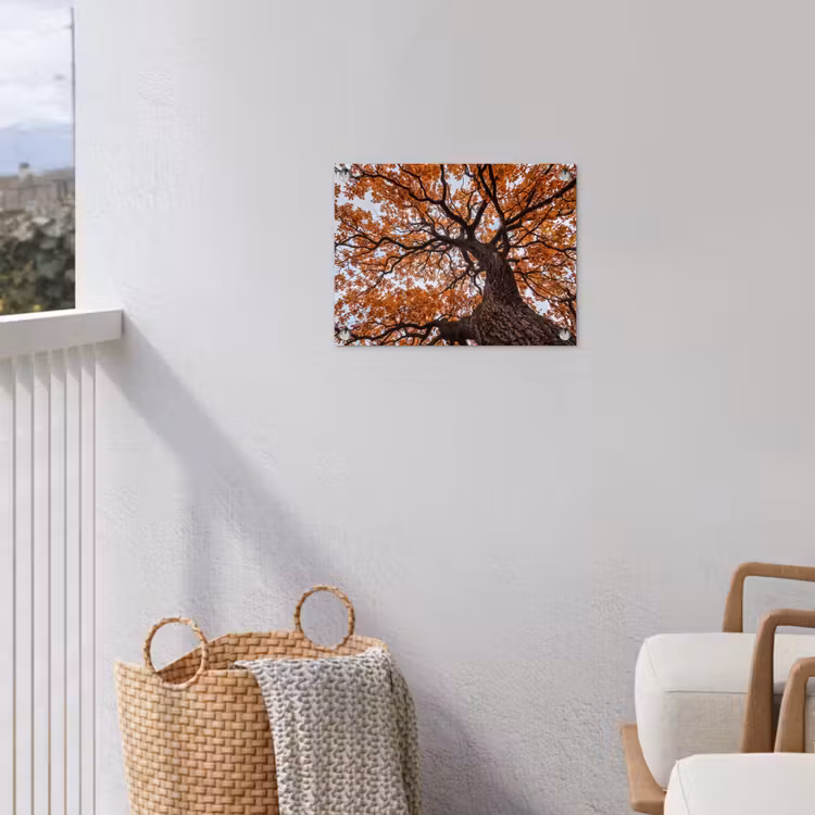 Boom - Bladerdak - Herfst - Oranje - Sfeervol tuinposter los doek klein -sfeer8
