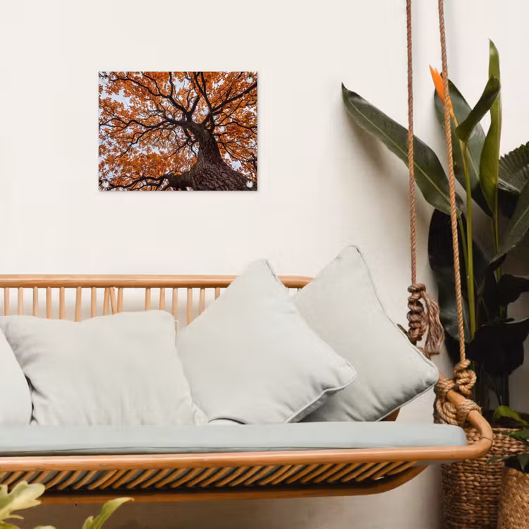 Boom - Bladerdak - Herfst - Oranje - Sfeervol tuinposter los doek klein -sfeer7