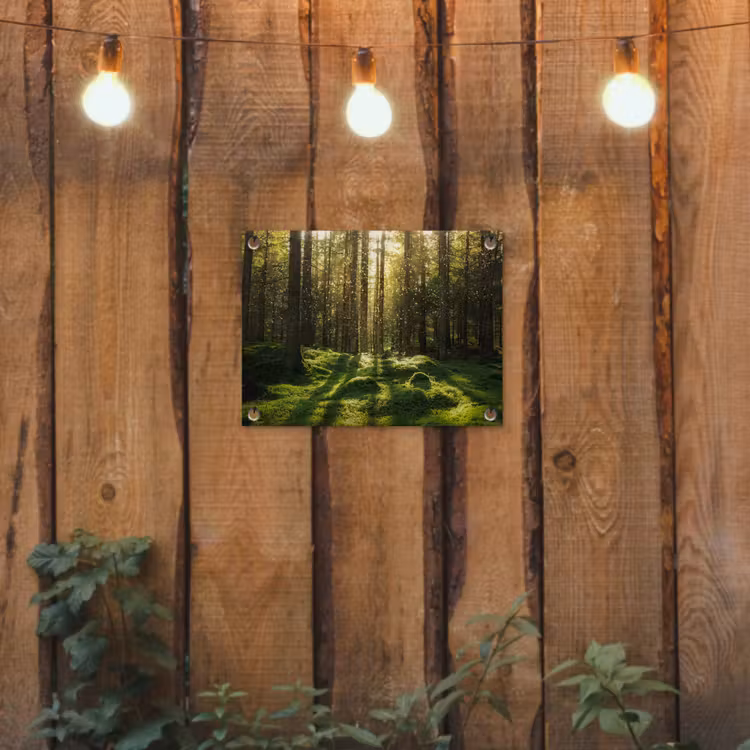 Bomen - Bos - Mos - Planten - Zon - Natuur tuinposter los doek klein -sfeer1