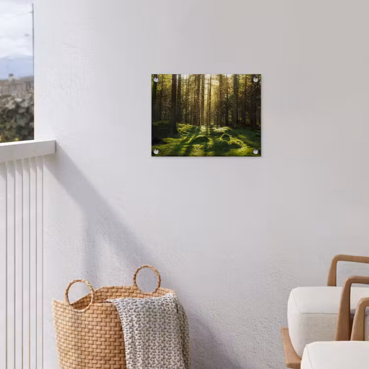 Bomen - Bos - Mos - Planten - Zon - Natuur tuinposter los doek klein -sfeer8