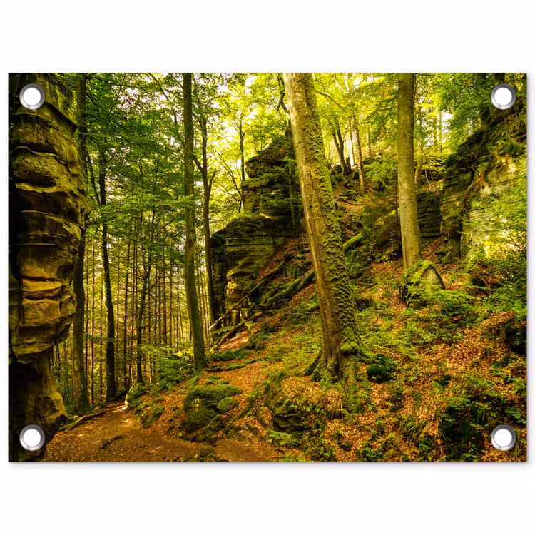 Bomen - Steen - Bos - Natuur - Planten tuinposter los doek klein -3d