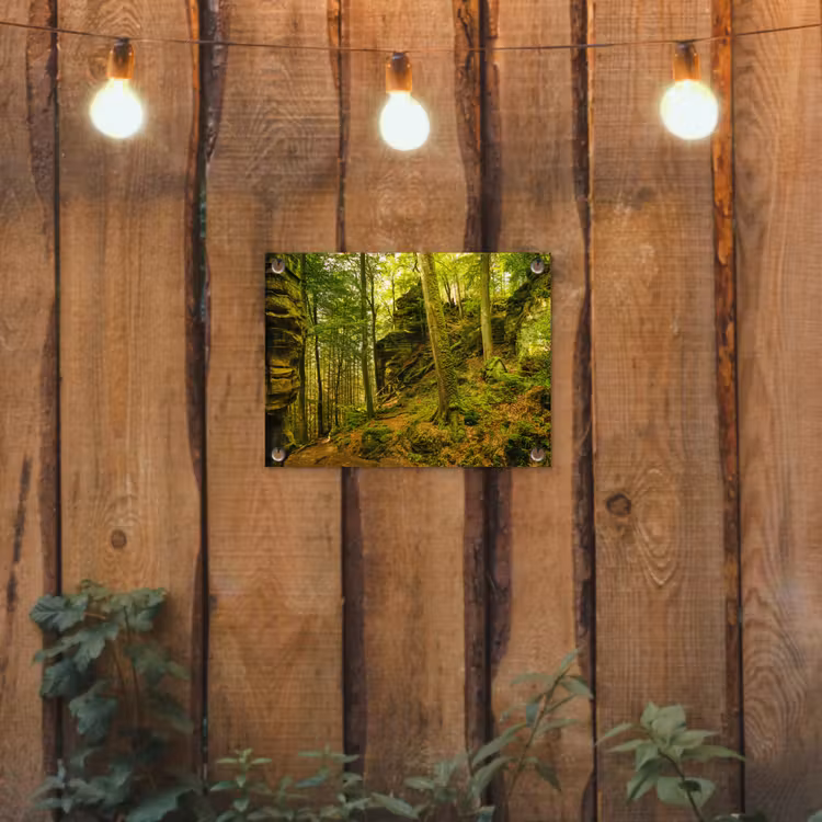 Bomen - Steen - Bos - Natuur - Planten tuinposter los doek klein -sfeer1