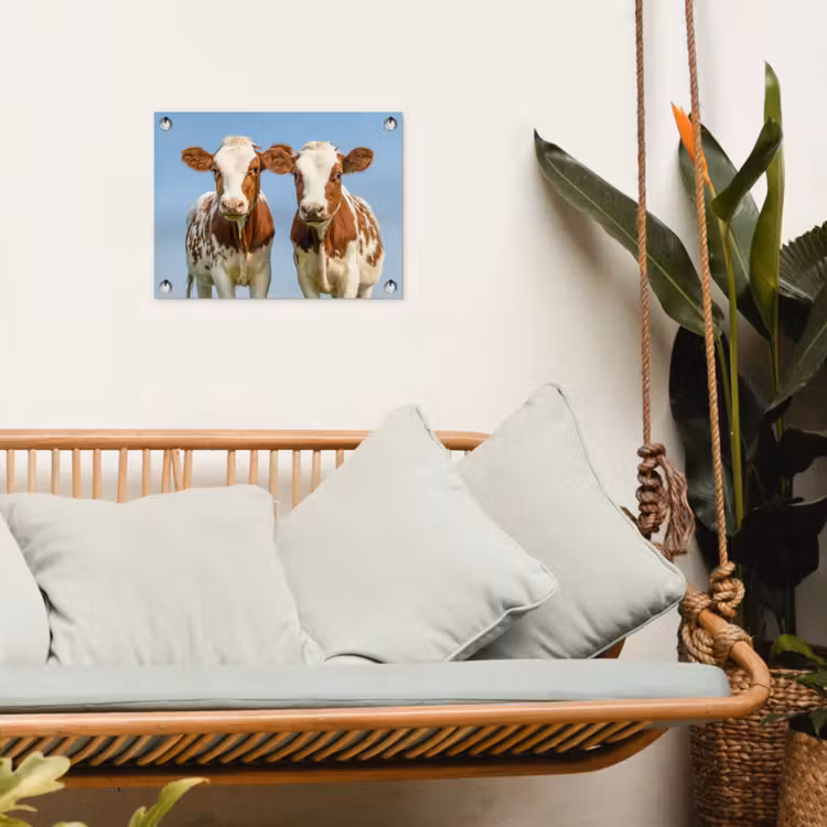 Twee kalveren in de weide tuinposter los doek klein -sfeer7