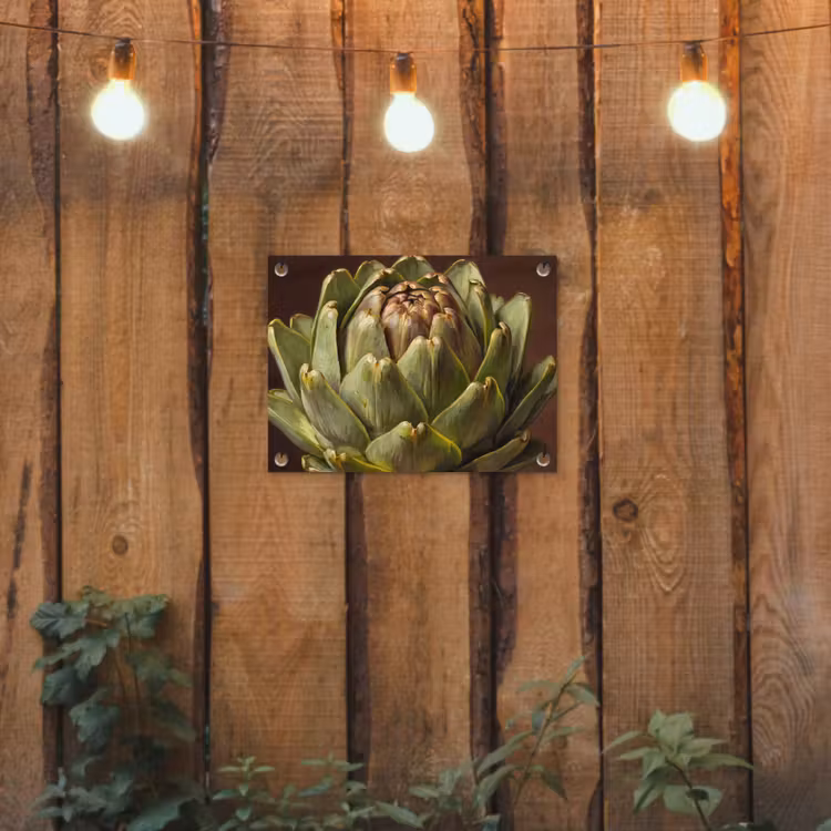 Garden Poster - Vegetable - Artichoke - Green - Groente - Artisjok - Groen tuinposter los doek klein