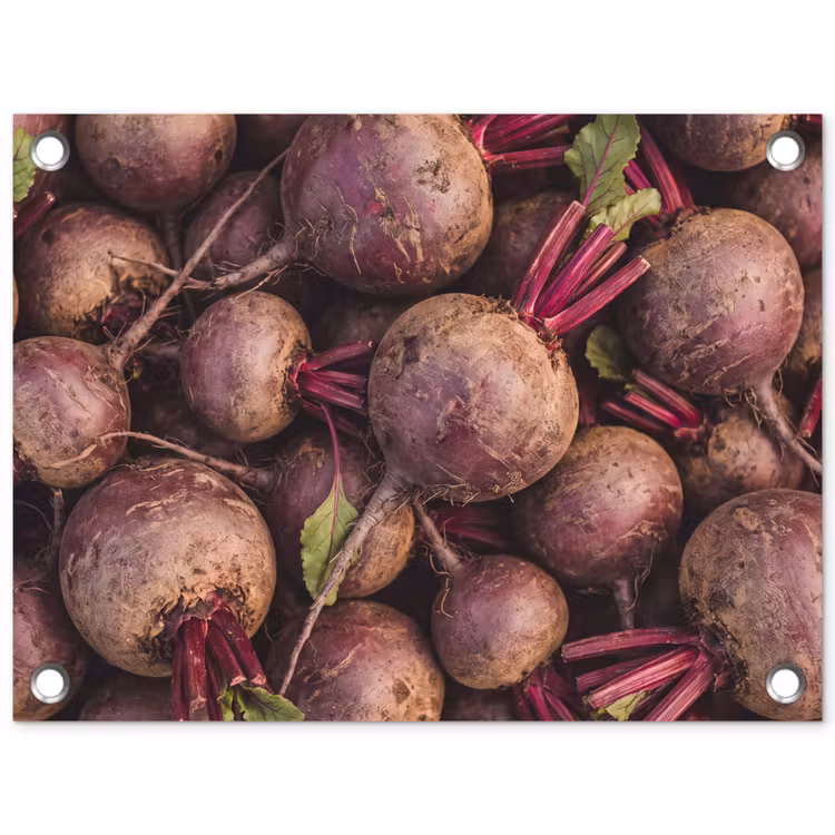 Garden Poster - Vegetable - Red - Natural - Groente - Rood - Natuur tuinposter los doek klein
