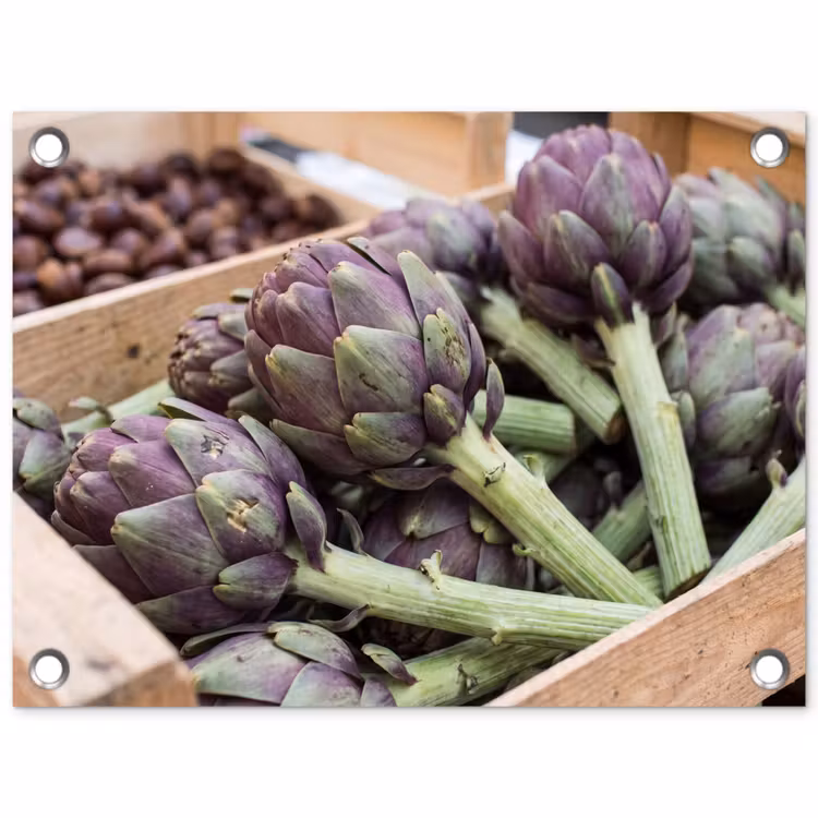 Garden Poster - Vegetables - Market - Fresh - Groenten - Markt - Vers tuinposter los doek klein