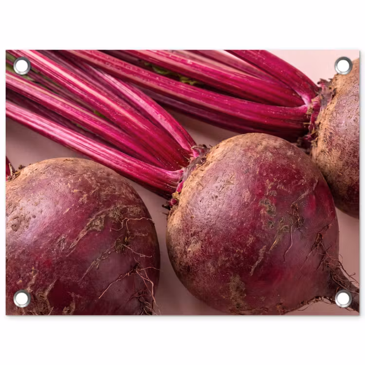 Garden Poster - Vegetables - Red - Fresh - Groente - Rood - Vers tuinposter los doek klein
