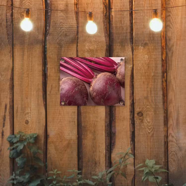 Garden Poster - Vegetables - Red - Fresh - Groente - Rood - Vers tuinposter los doek klein