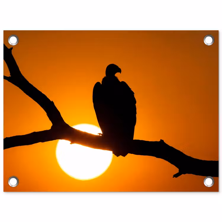 Gier - Tak - Zon - Oranje tuinposter los doek klein -3d