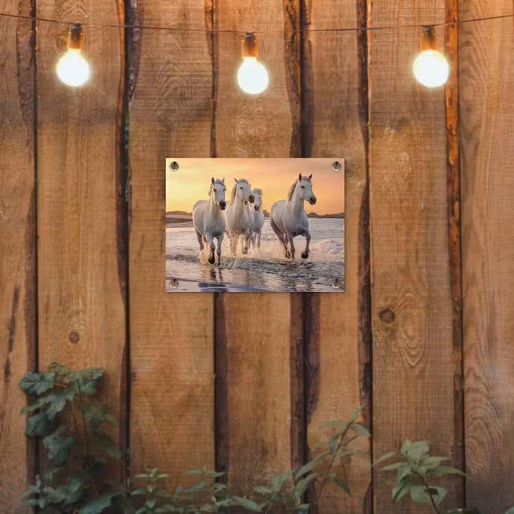 Witte paarden galopperen langs de kust tuinposter los doek klein -sfeer1