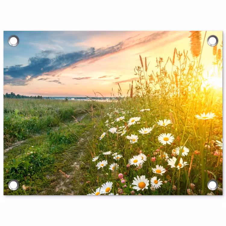 Wilde bloemen in de ochtendzon tuinposter los doek klein -3d