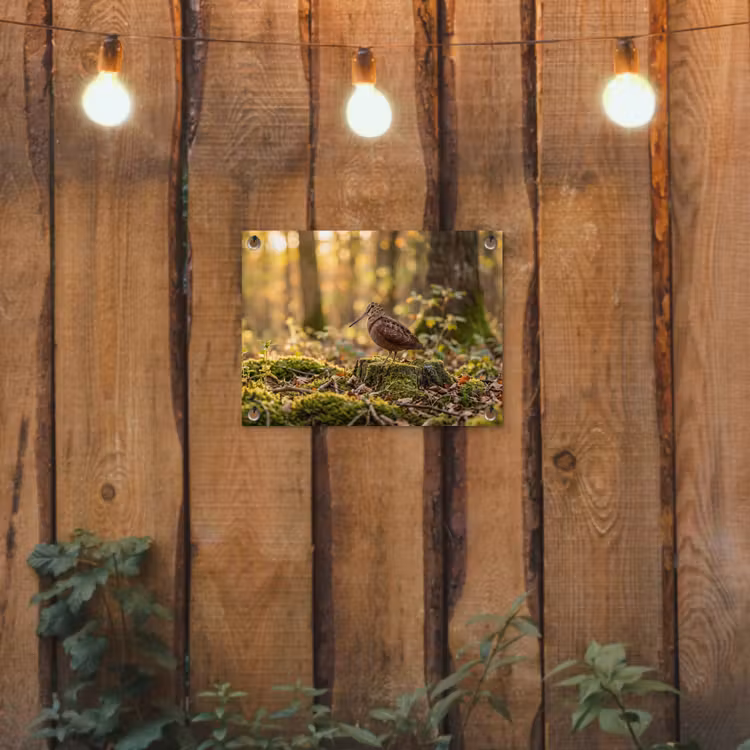 Houtsnip - Bos - Bladeren - Herfst - Gecamoufleerd tuinposter los doek klein -sfeer1
