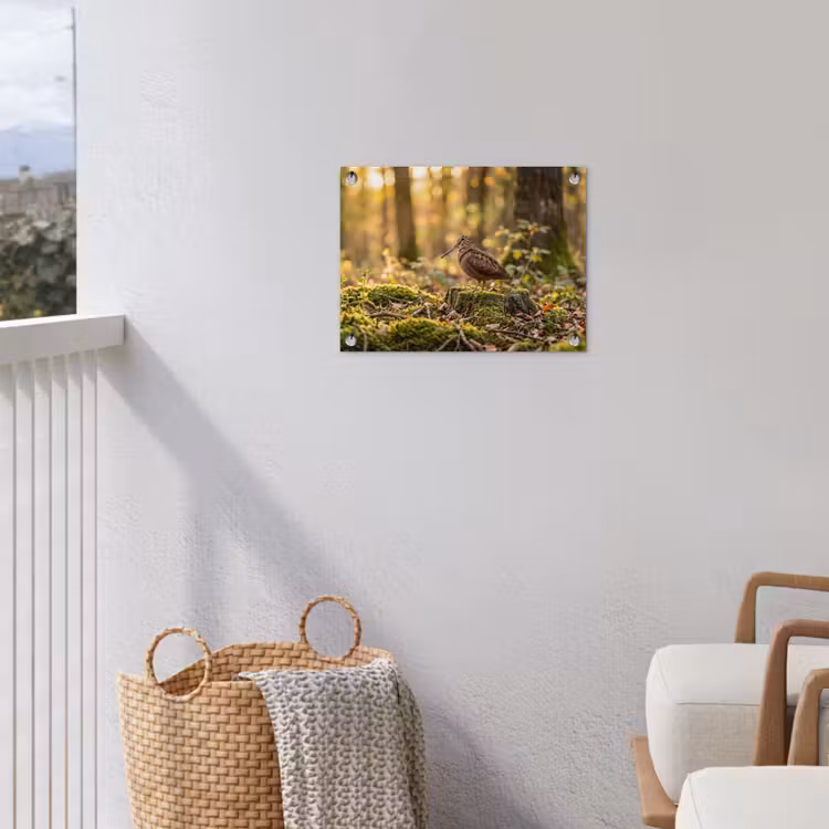 Houtsnip - Bos - Bladeren - Herfst - Gecamoufleerd tuinposter los doek klein -sfeer8