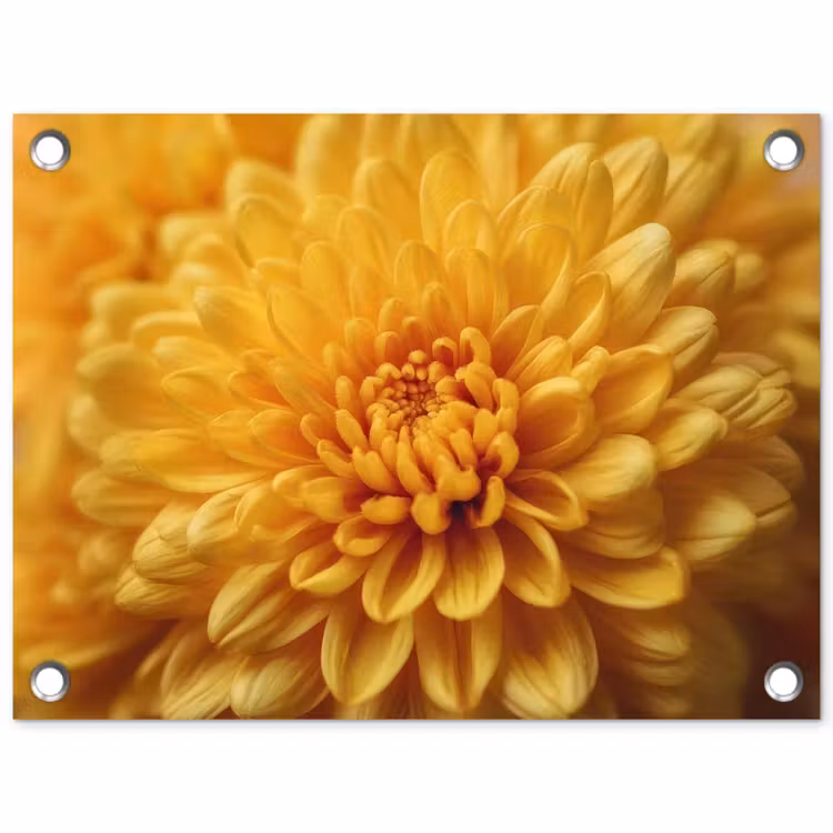 Geel - Chrysant - Zachtheid tuinposter los doek klein -3d