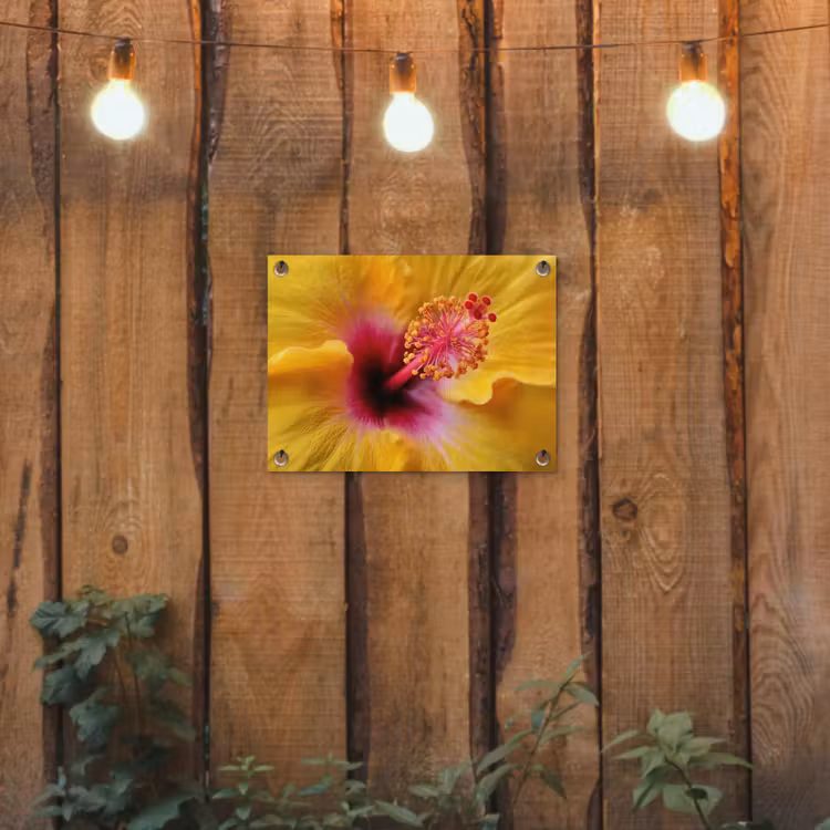 Geel - Hibiscus - Tropisch tuinposter los doek klein -sfeer1