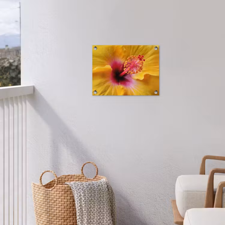 Geel - Hibiscus - Tropisch tuinposter los doek klein -sfeer8