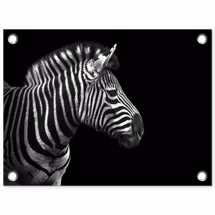 Zebra - Zwart - Wit - Portret - Dieren tuinposter los doek klein -3d