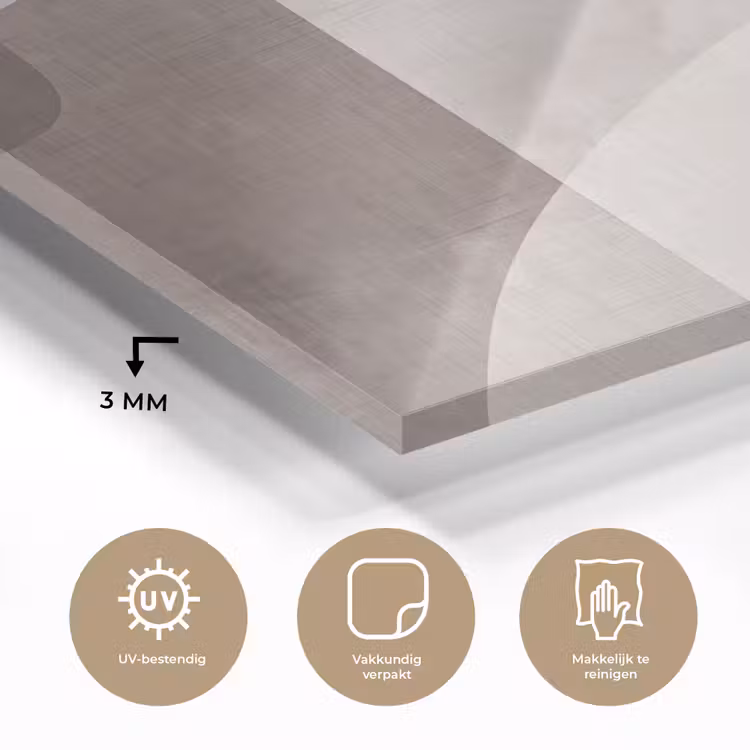 Glass Print - Abstract Shapes - Beige - Abstracte vormen - Beige plexiglas 5mm klein