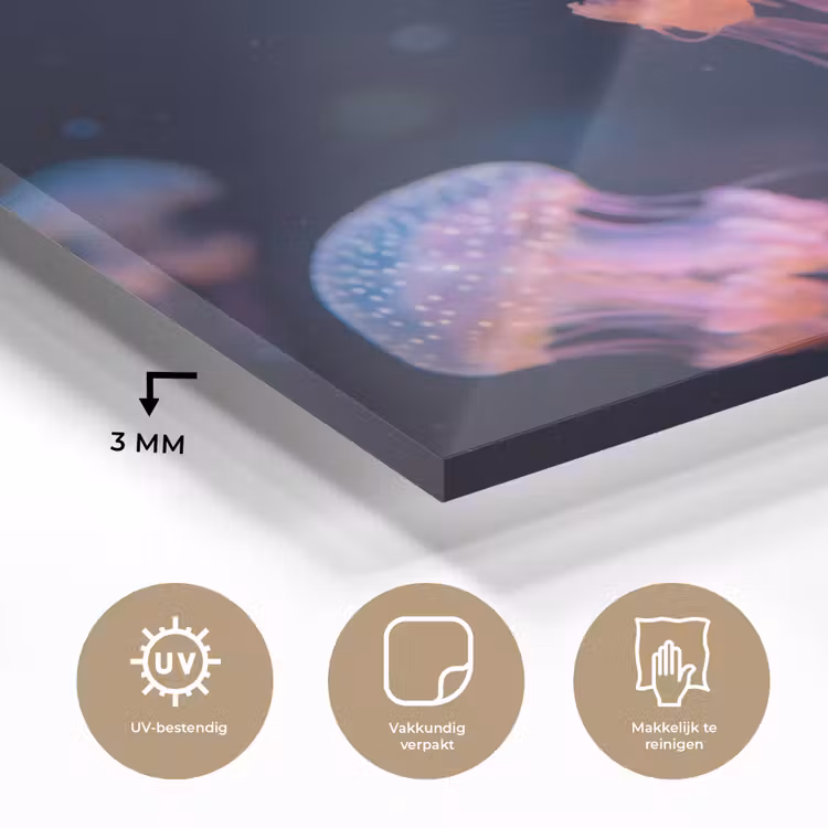 Dier - Onderwater - Natuur - Roze - Mysterieus plexiglas 5mm klein -sfeer2
