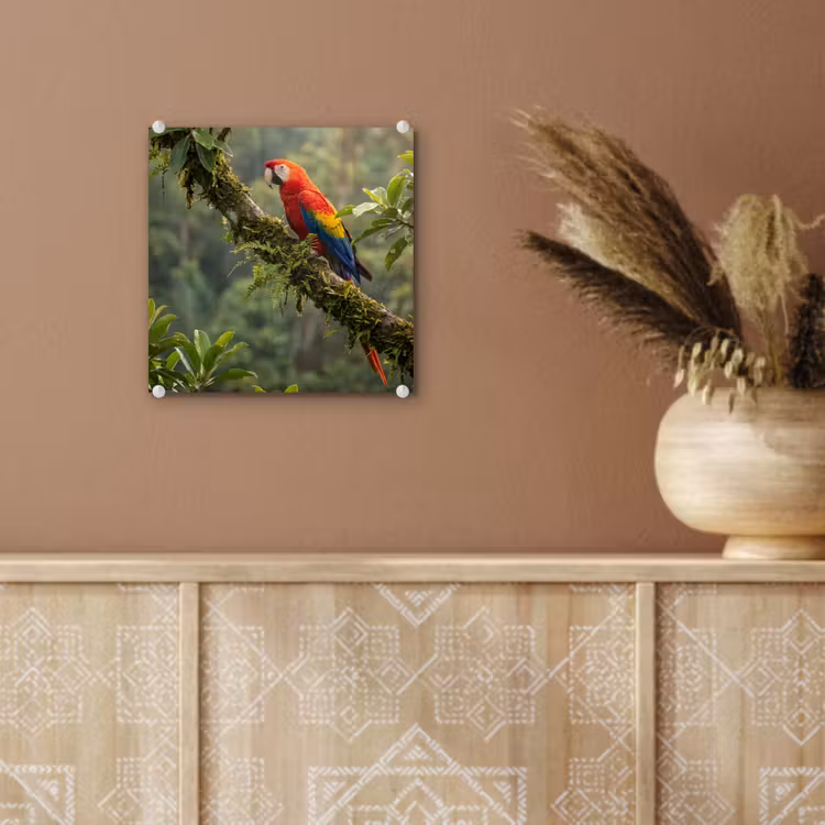 Ara - Jungle - Rood plexiglas 5mm klein -sfeer5