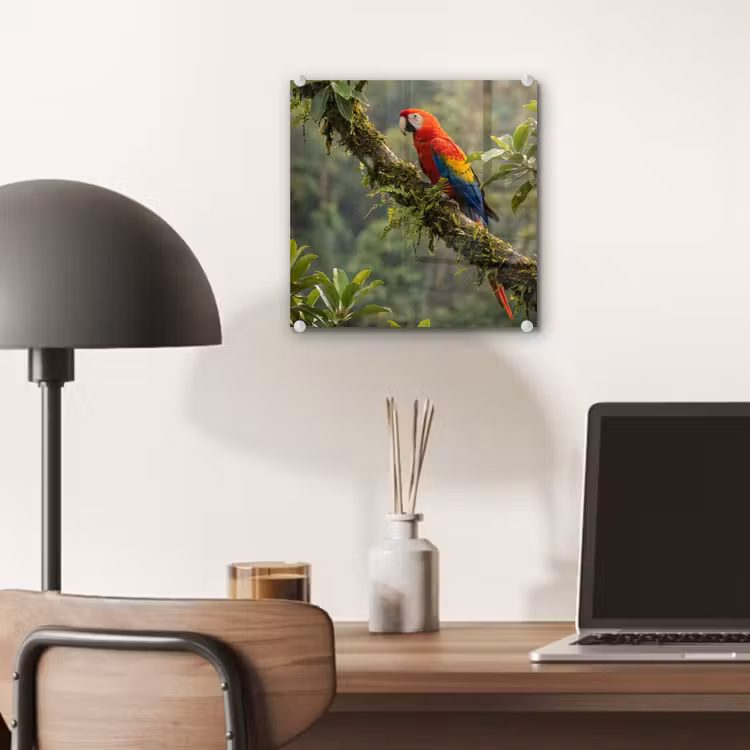 Ara - Jungle - Rood plexiglas 5mm klein -sfeer6