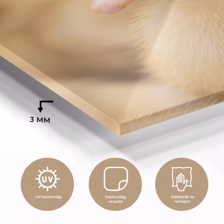 Pijltje - Eend - Natuur - Geel plexiglas 5mm klein -sfeer2