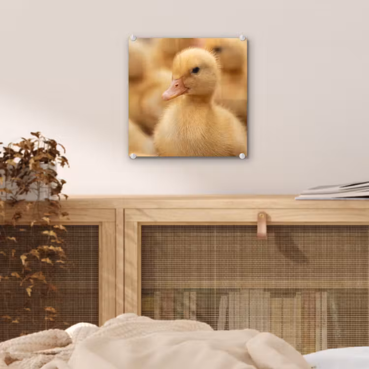 Pijltje - Eend - Natuur - Geel plexiglas 5mm klein -sfeer4