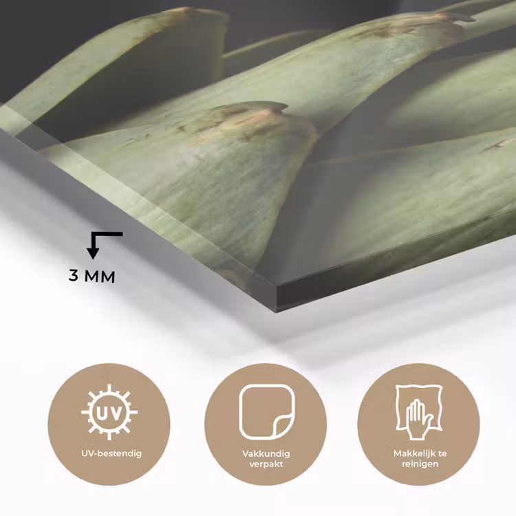 Glass Print - Artichoke - Green - Food - Artisjok - Groen - Eten plexiglas 5mm klein