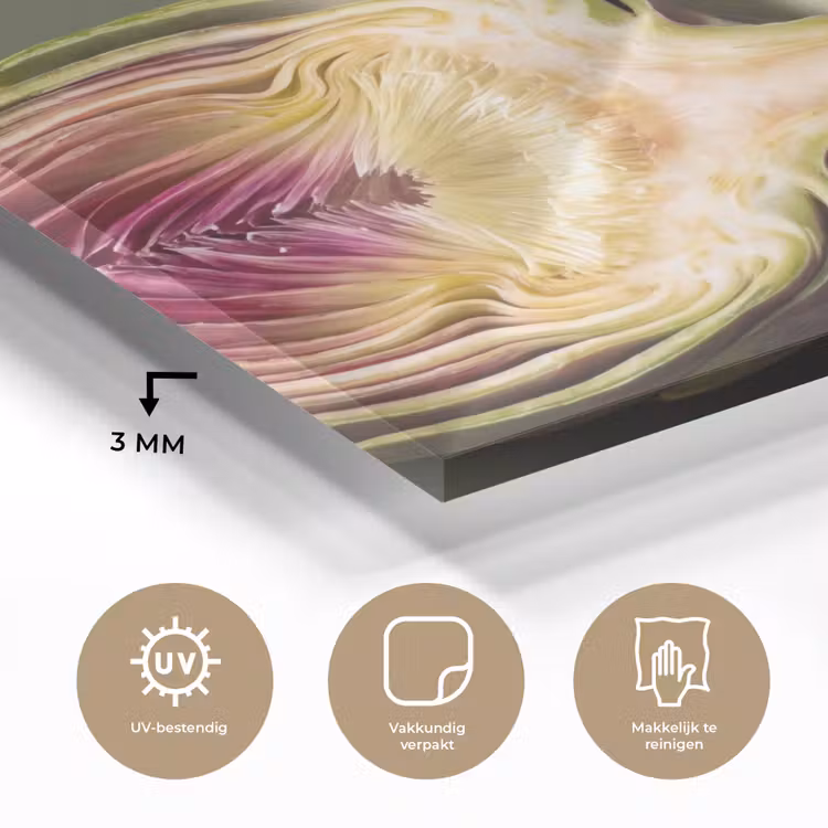 Glass Print - Artichoke - Purple - Food - Artisjok - Paars - Voedsel plexiglas 5mm klein