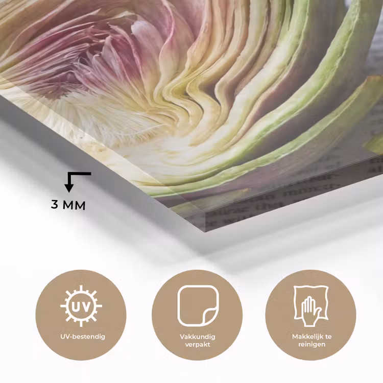 Glass Print - Artichoke - Sliced - Food - Artisjok - Doorgesneden - Eten plexiglas 5mm klein