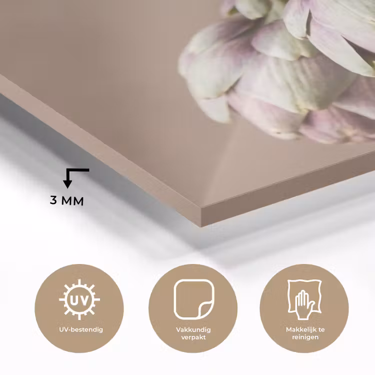 Glass Print - Artichokes - Hanging - Vegetables - Artisjokken - Hangend - Groenten plexiglas 5mm klein