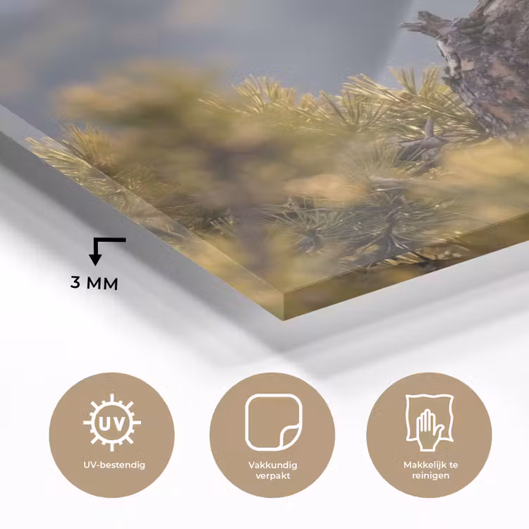 Zeearend - Boom - Bergen - Groen plexiglas 5mm klein -sfeer2